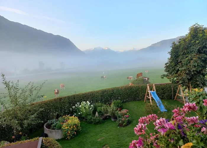 Kracherbauer Διαμέρισμα *